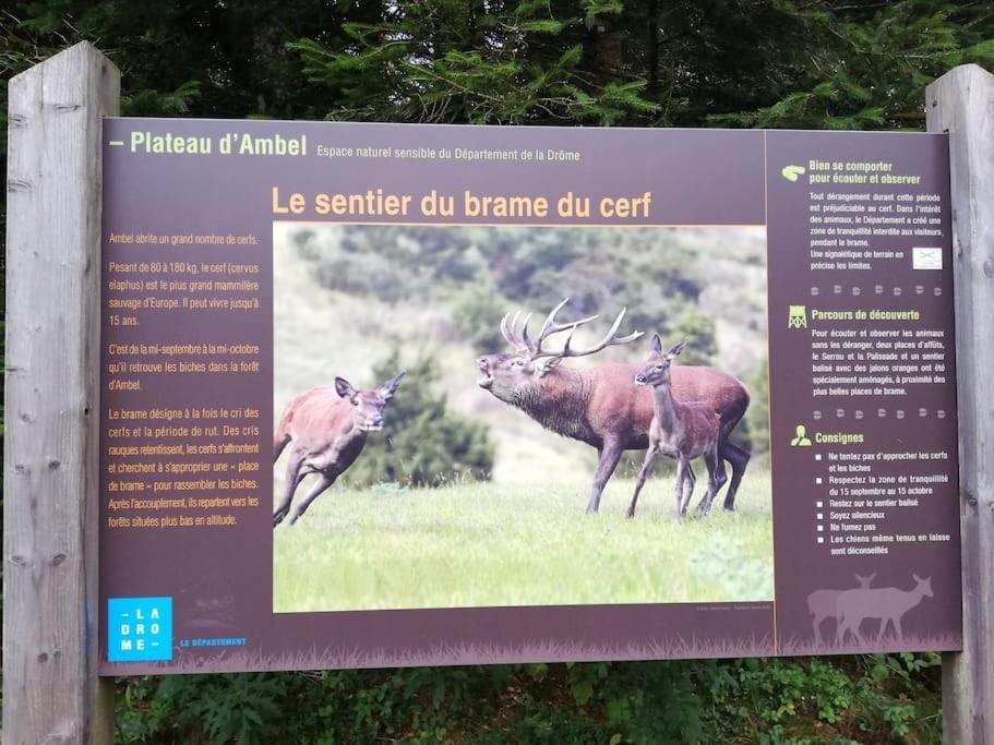 Logement Standing Wifi Vercors 'In Saint Jean en Royans Bagian luar foto